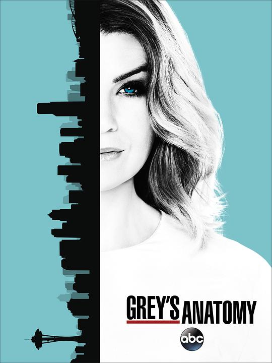 Grey's Anatomy Season 13