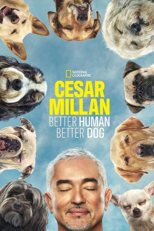 Instructor Caesar's Dog Owner Training Course Season 1