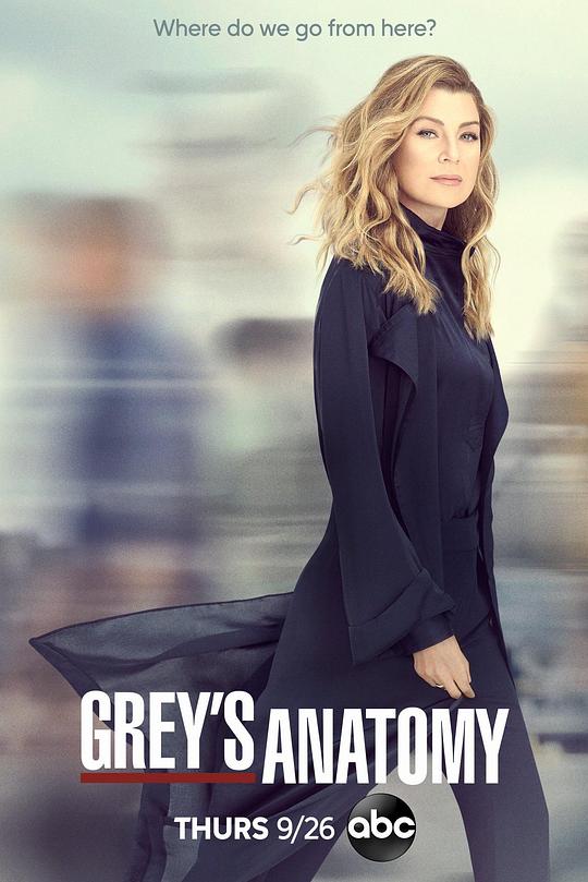 Grey's Anatomy Season 16