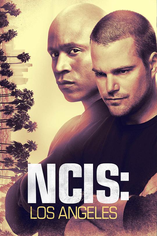 NCIS: Los Angeles Season 10