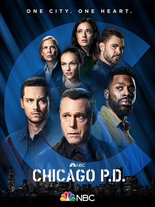 Chicago Police Department Season 9