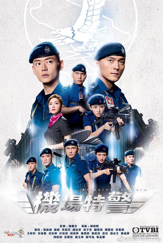 Airport Special Police (China)