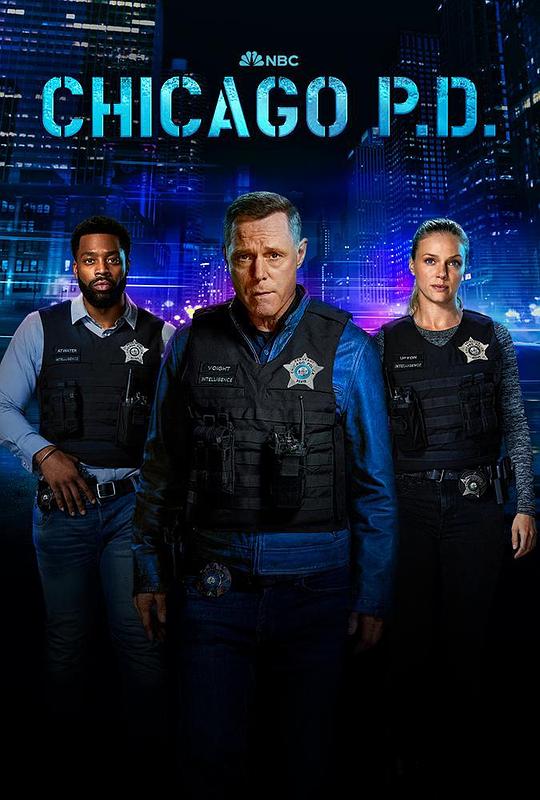 Chicago Police Department Season 11