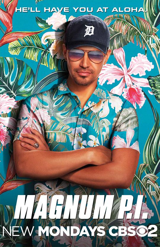 New Hawaii Detective Season 1